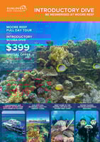 Introductory Dive Final