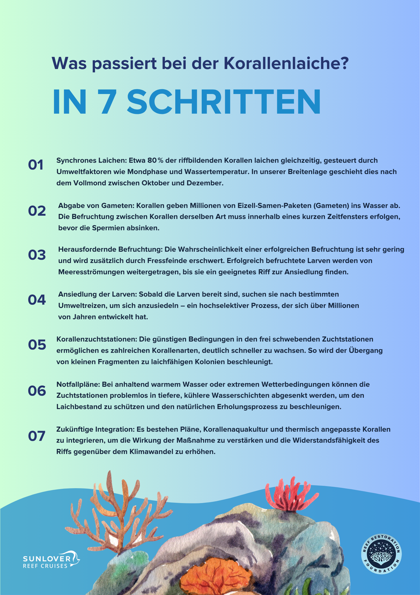 RRF Coral Spawning GERMAN