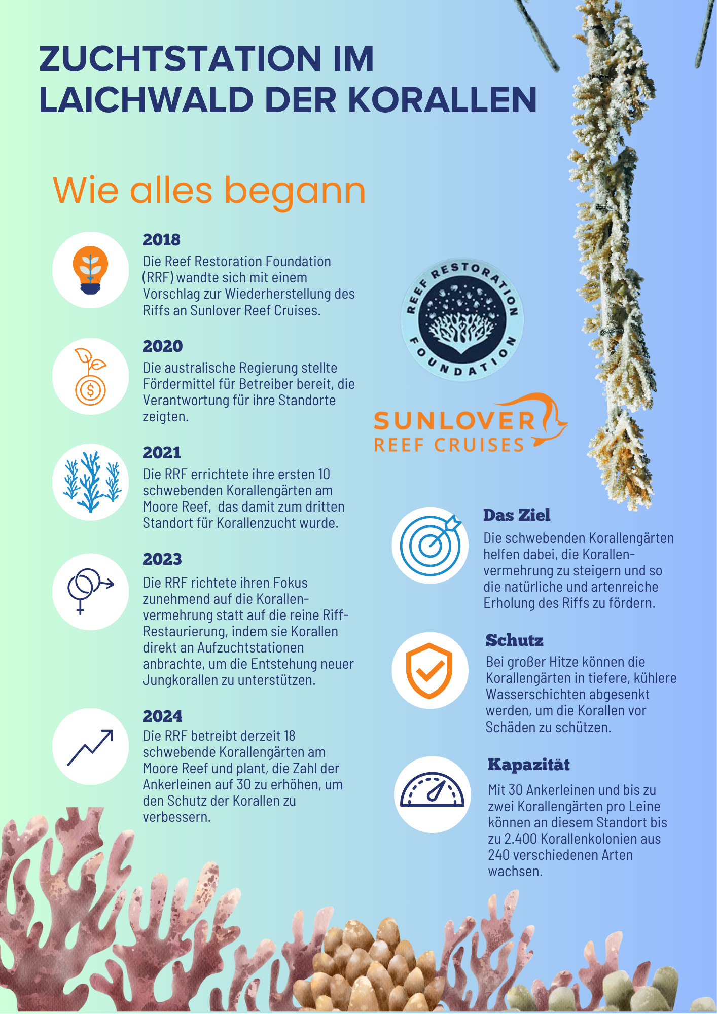 RRF Partnership GERMAN