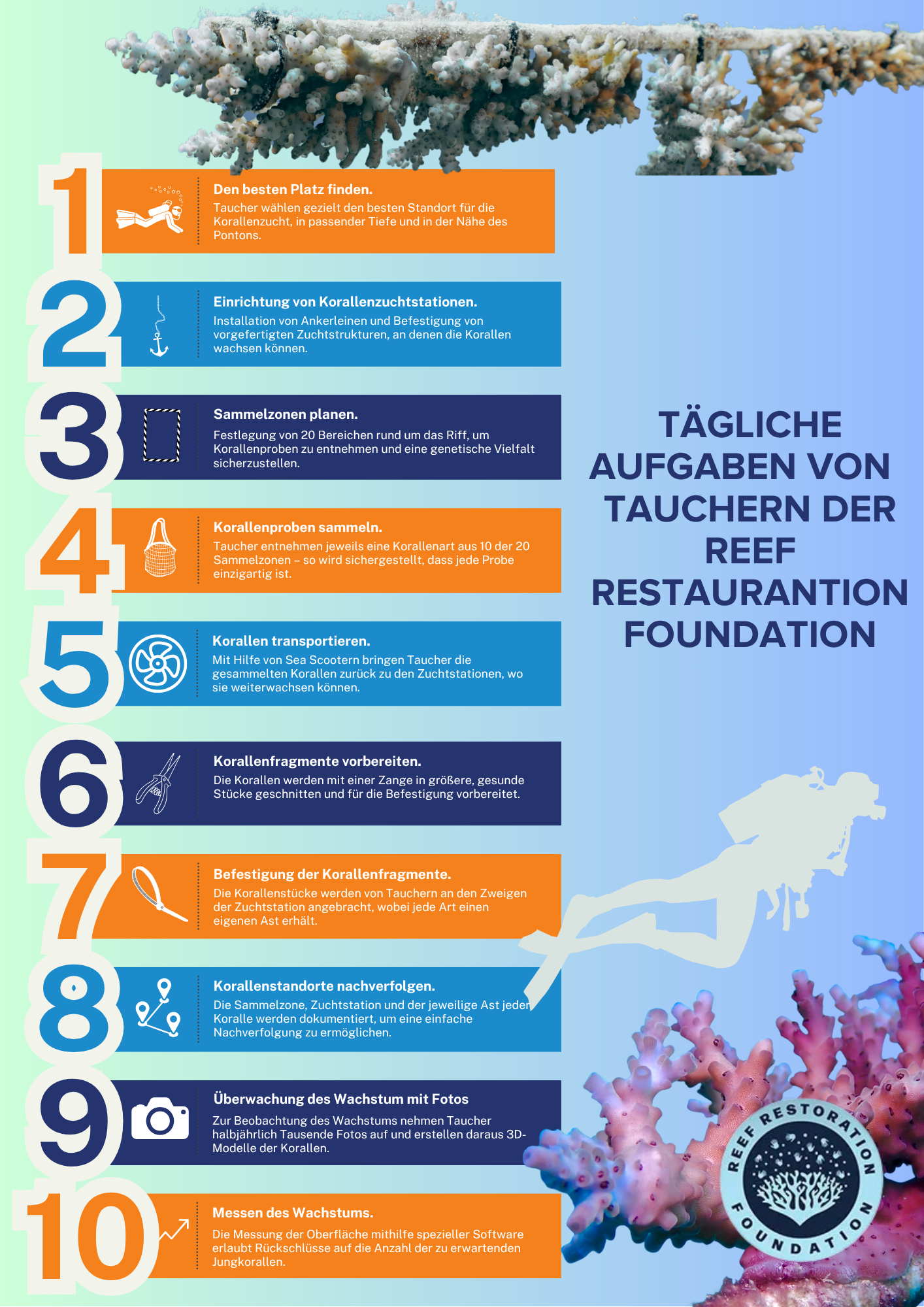 RRF Tasks GERMAN