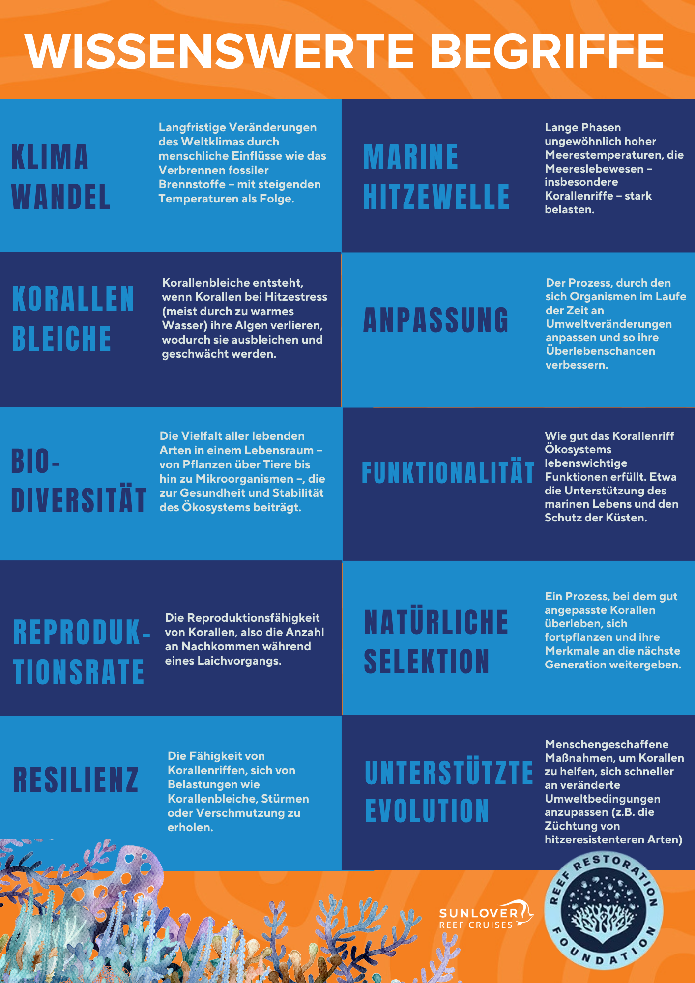RRF Terms to know GERMAN