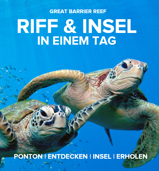 Reef&Island Cover German