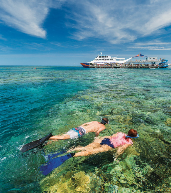 Snorkel Image