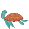 turtle4