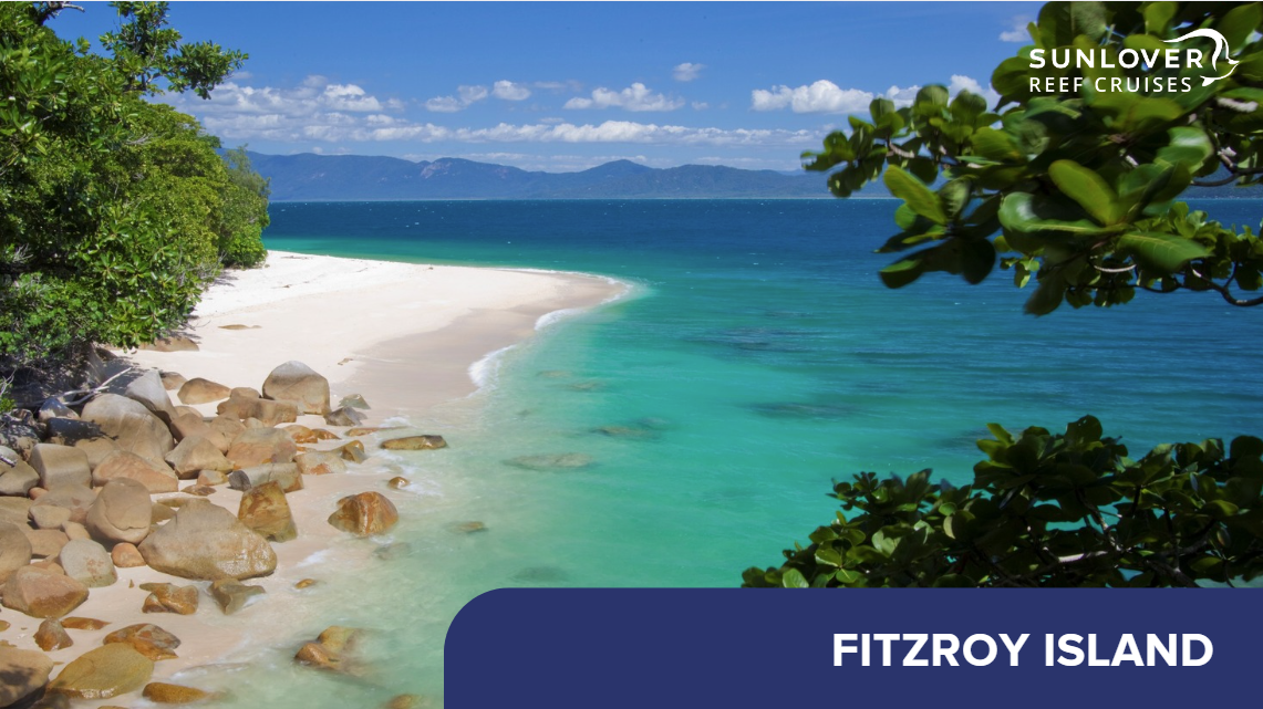 fitzroy ISLAND